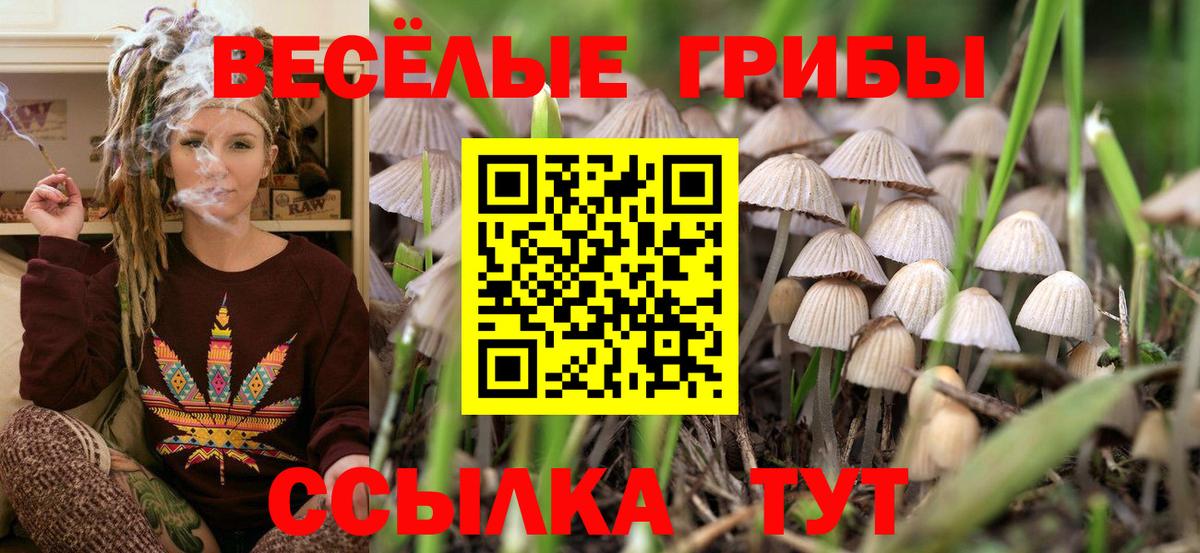 Псилоцибиновые грибы Psilocybe  купить  цена  Балашиха  Вход с VPN 